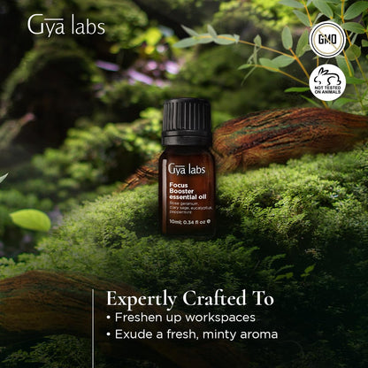 Gya Labs Focus Booster Essential Oil Blend – Fresh Mint Scent (0.34 fl oz)