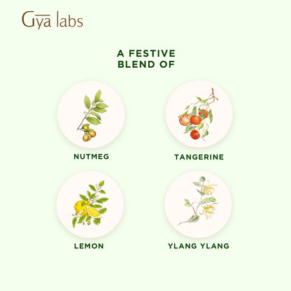 Gya Labs Holiday Essential Oil Blend – Comforting & Uplifting Aromatherapy (0.34 fl oz)