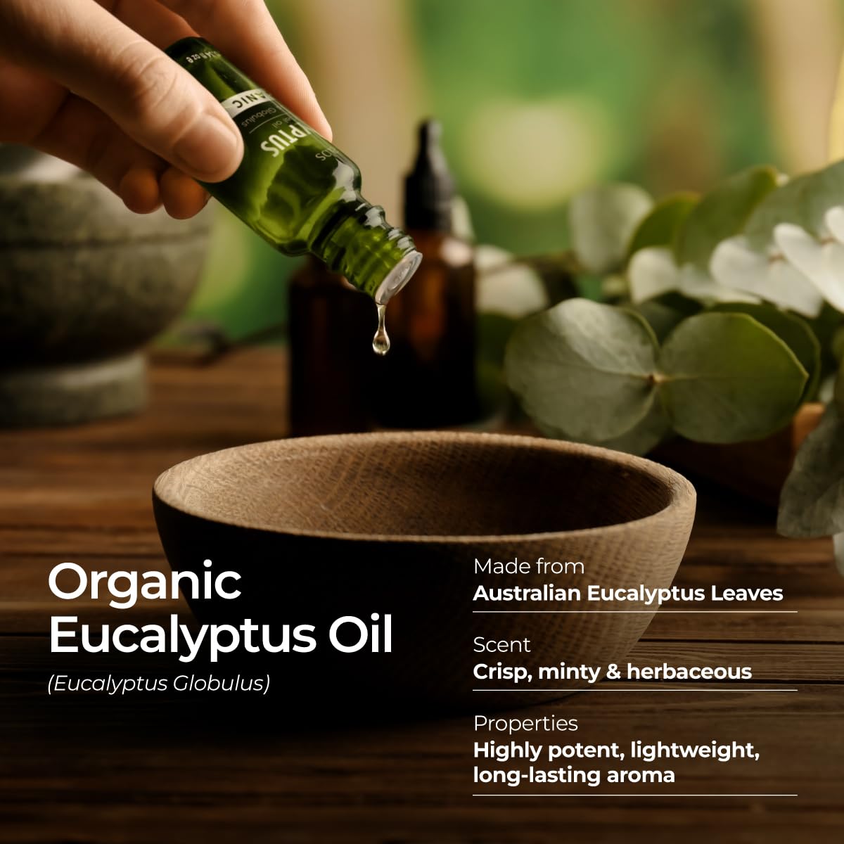 Gya Labs Organic Eucalyptus Essential Oil 0.34 fl oz – Skin, Hair, Diffuser