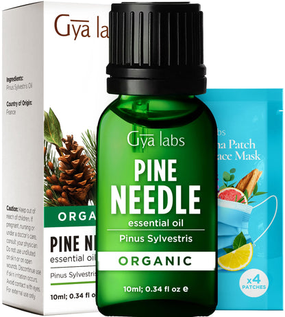 Gya Labs Organic Pine Needle Essential Oil – 0.34 fl oz | Diffuser, Skin, Hair, DIY Candle Making