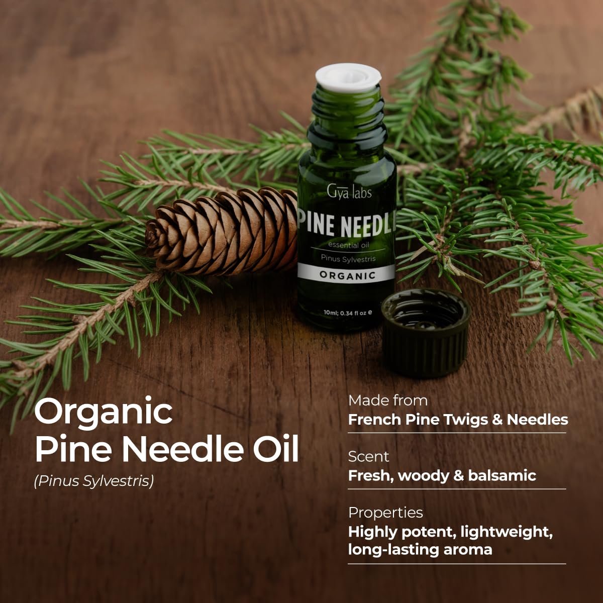 Gya Labs Organic Pine Needle Essential Oil – 0.34 fl oz | Diffuser, Skin, Hair, DIY Candle Making