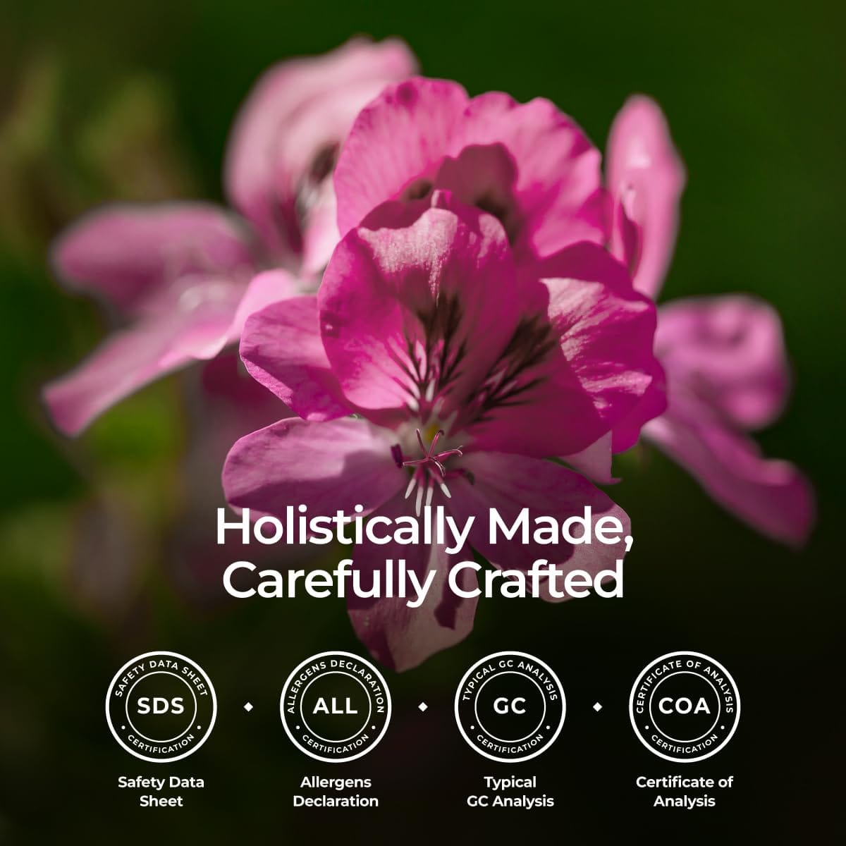 Gya Labs Organic Rose Geranium Essential Oil - 0.34 fl oz | Skin, Hair, Diffuser, Aromatherapy, DIY Candle Making Scents