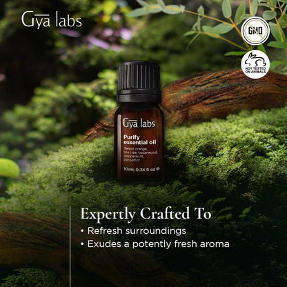 Gya Labs Purify Essential Oil Blend for Diffuser & Skin - Fresh & Cleansing Scent for Aromatherapy, Air Freshener (0.34 fl oz)