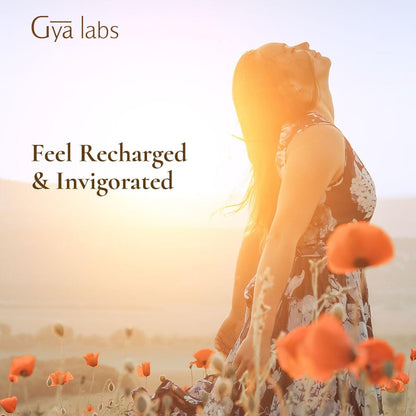 Gya Labs Purify Essential Oil Blend for Diffuser & Skin - Fresh & Cleansing Scent for Aromatherapy, Air Freshener (0.34 fl oz)