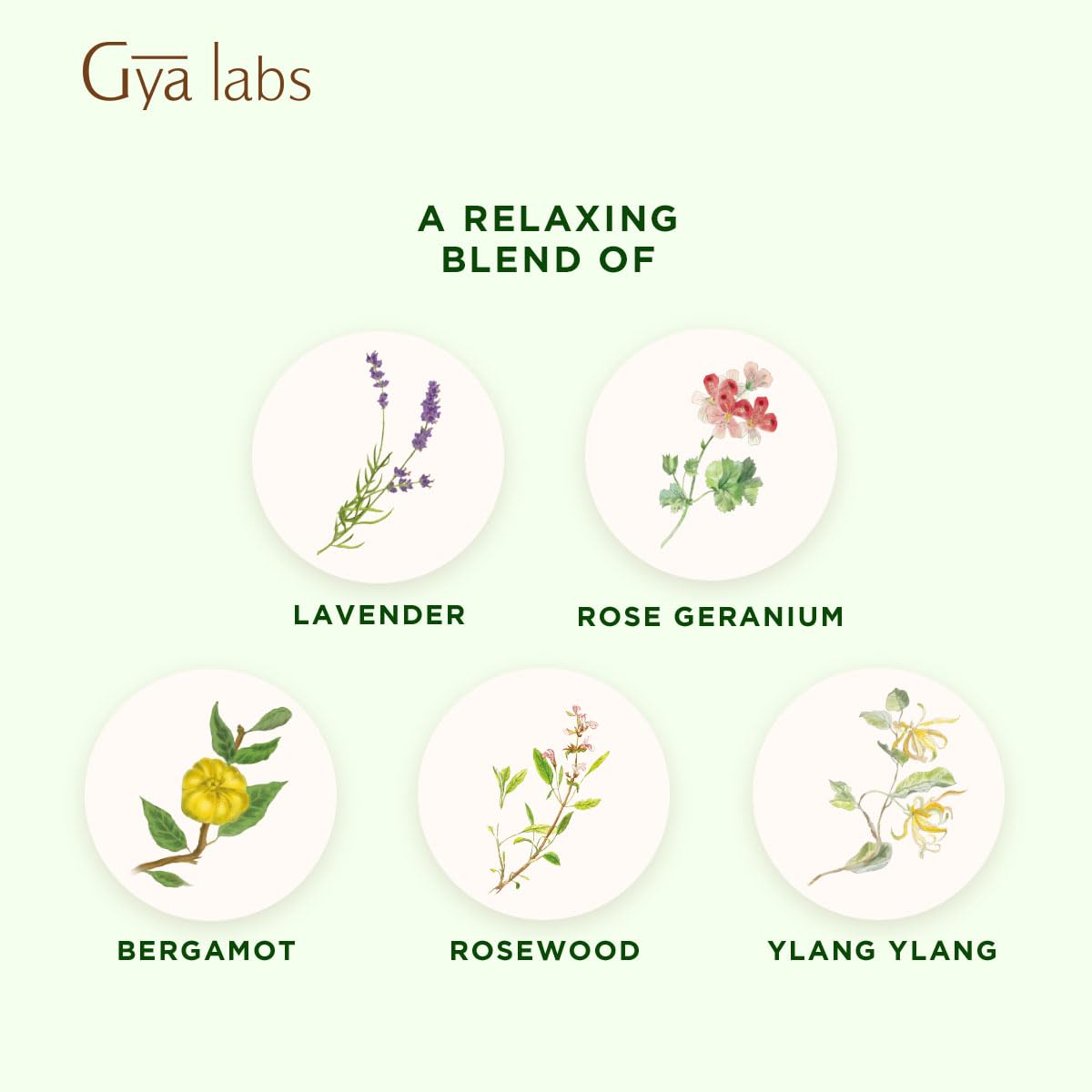 Gya Labs Rest N Relax Essential Oil Blend – Calming & Relaxing (0.34 oz)