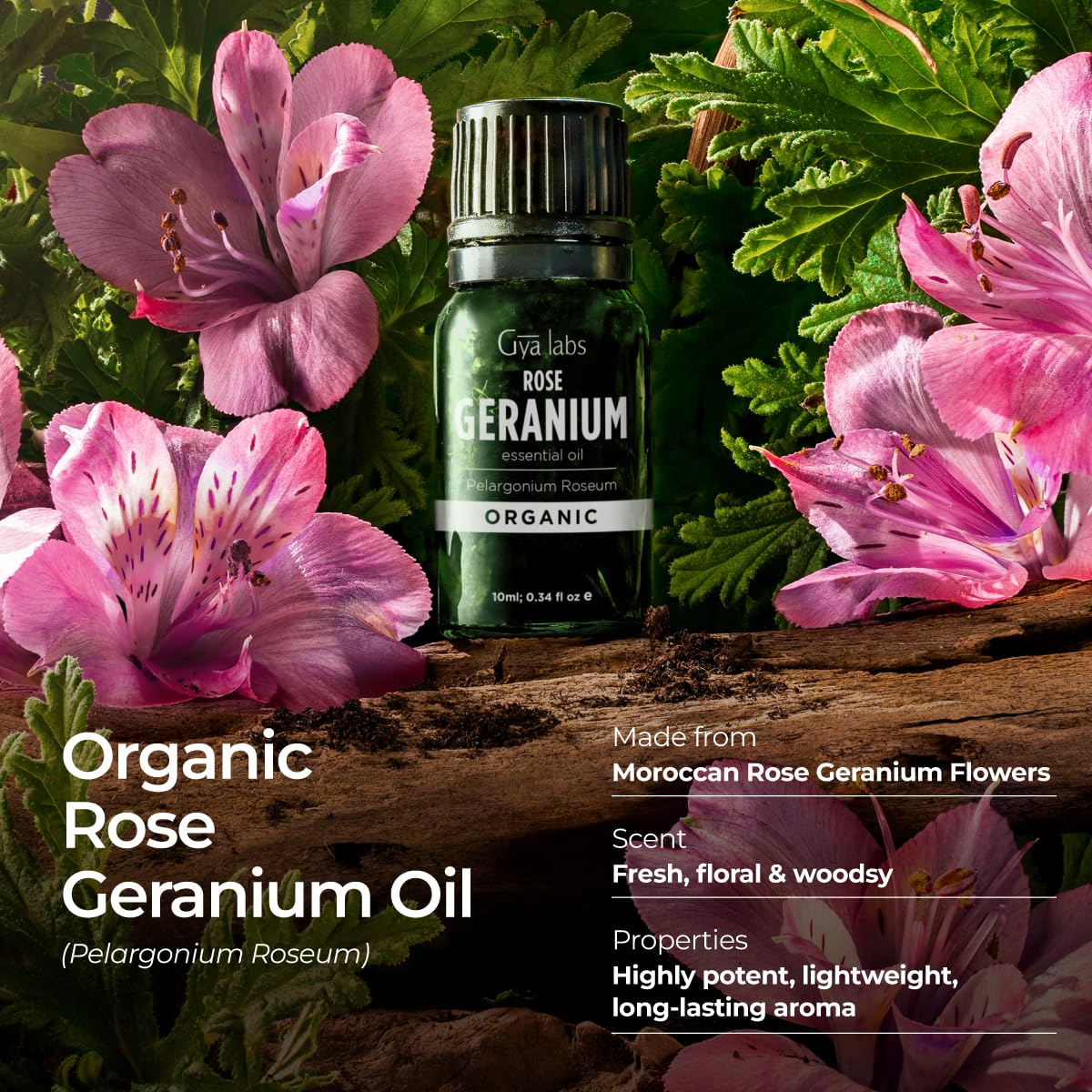 Gya Labs Organic Rose Geranium Essential Oil - 0.34 fl oz | Skin, Hair, Diffuser, Aromatherapy, DIY Candle Making Scents