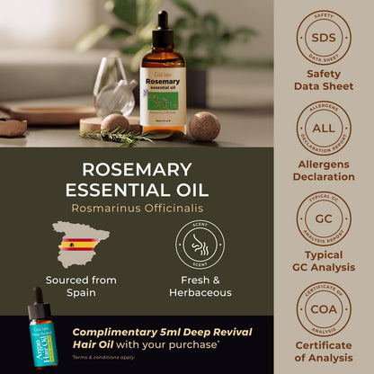Gya Labs Rosemary Essential Oil – 4oz for Hair, Diffuser & DIY Scents