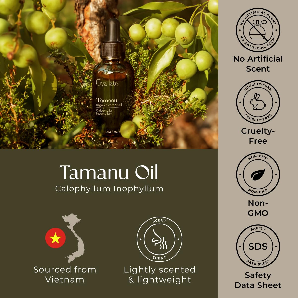 Gya Labs Tamanu Carrier Oil - 1 Fl Oz for Hair, Skin, Face, Scalp & Body Massage