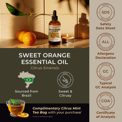 Gya Labs Orange Essential Oil – 4 Fl Oz | Premium Grade for Diffuser, Skin Care & DIY Candles