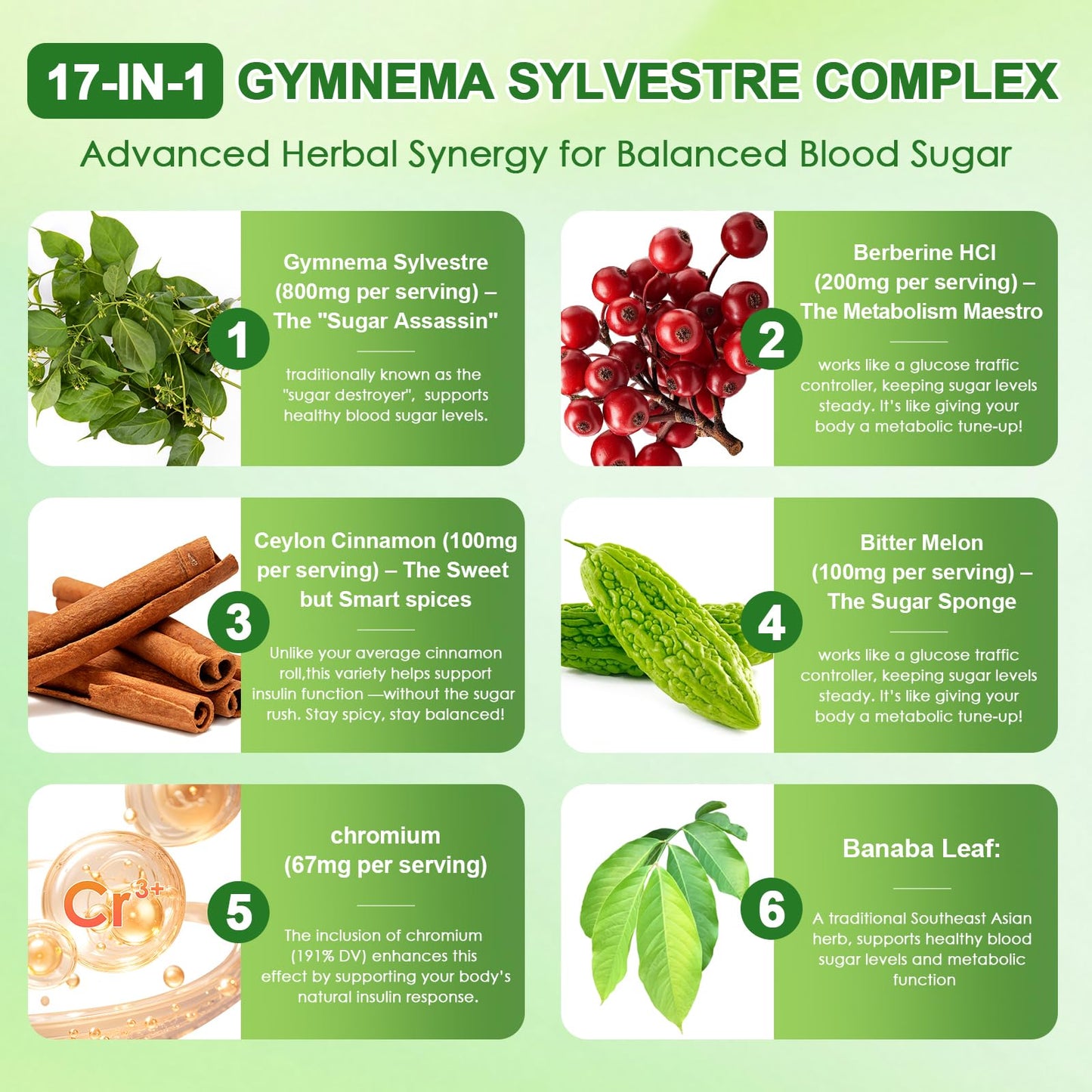 Gymnema Sylvestre 24,000 mg | 17-in-1 Herbal Complex with Berberine, Cinnamon & Chromium