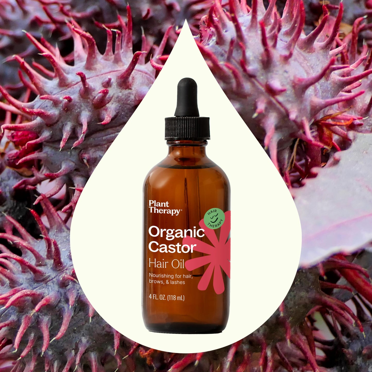 Plant Therapy Organic Castor Oil 4oz – Cold-Pressed, Hexane-Free, USDA Organic