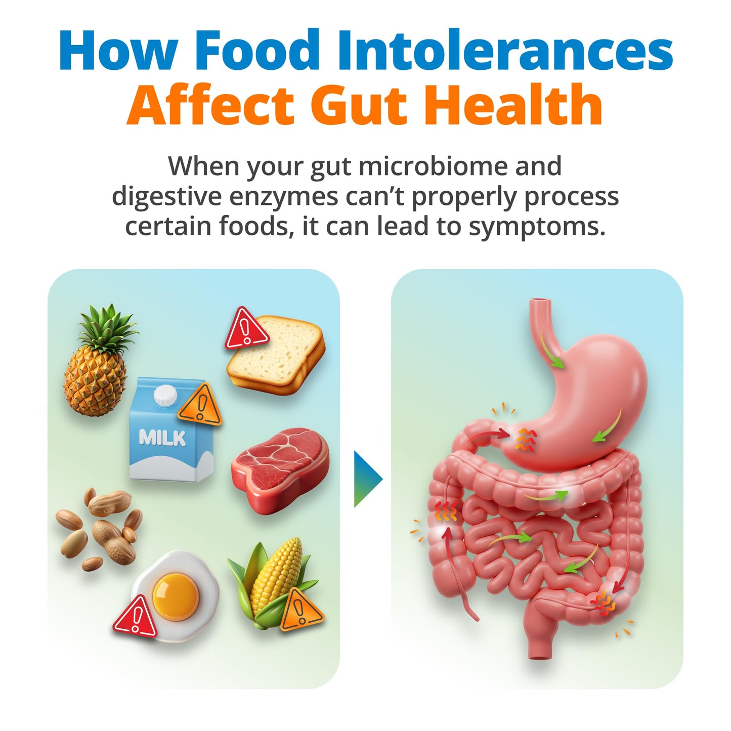 5Strands Gut Health Test – At-Home Hair Sample for 500+ Foods Tested (4-Day Results)