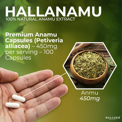Hallusa Natural Anamu Root 450 mg – Organic Anamu Capsules (Petiveria alliacea) – Immune Support & Energy – 100 Capsules