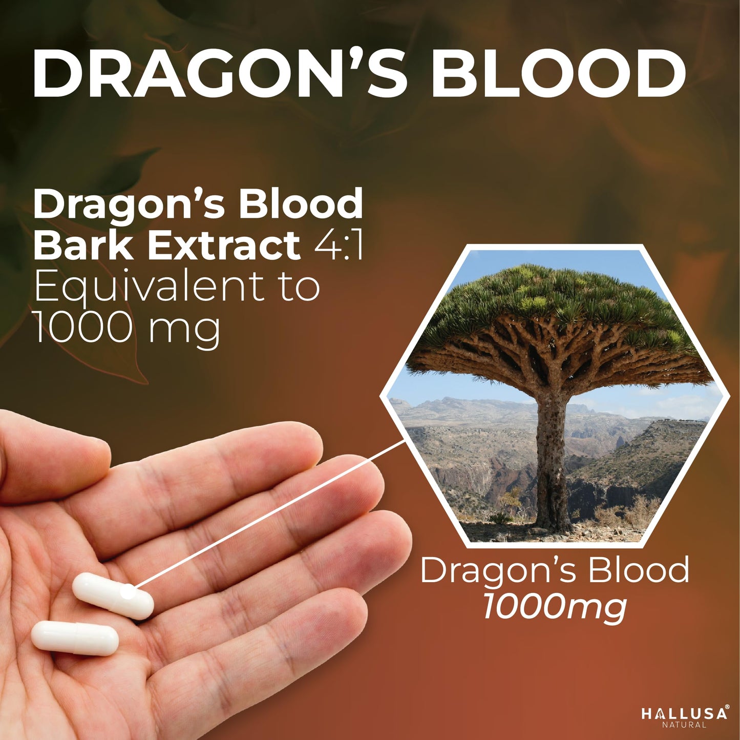 Hallusa Dragon's Blood 1000 mg Capsules – Croton Lechleri Digestive & Skin Support (60 Caps)