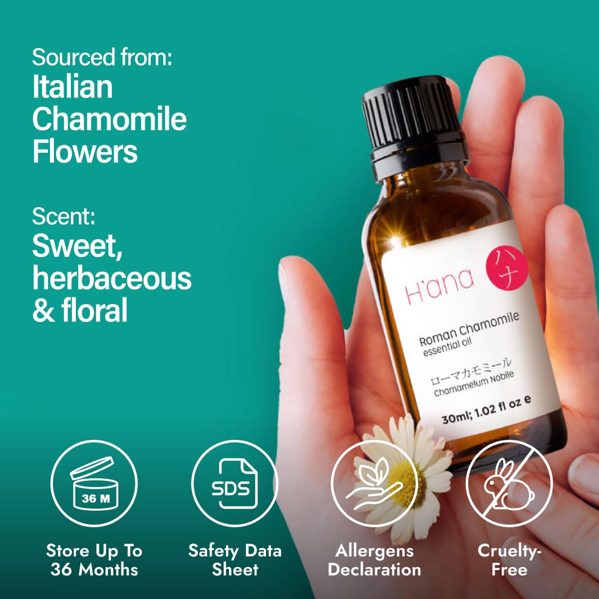 H'ana Roman Chamomile Essential Oil – 1.02 fl oz | Hair, Skin, Diffuser, Aromatherapy, DIY Candle & Soap Making