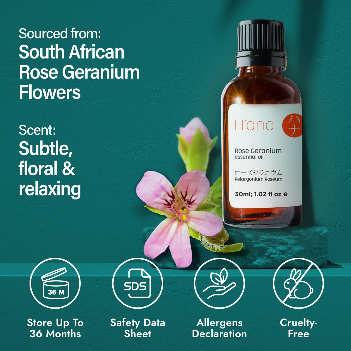 H'ana Rose Geranium Essential Oil - 1.02 Fl Oz | Hair, Skin, Diffuser & DIY