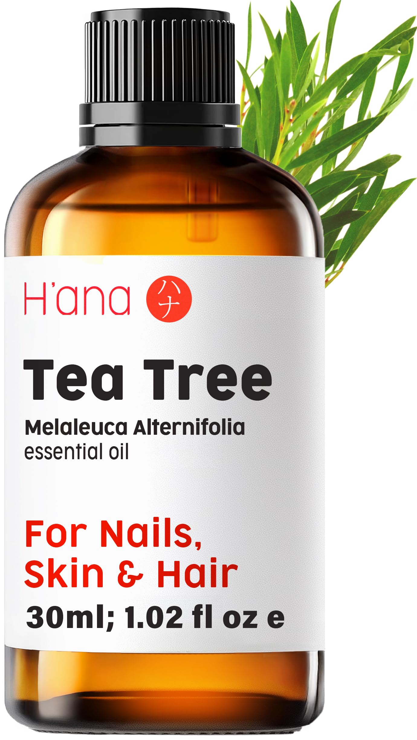 H'ana Tea Tree Essential Oil - 1.02 Fl Oz | Hair, Skin, Diffuser & DIY Crafts