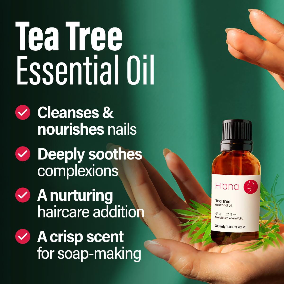 H'ana Tea Tree Essential Oil - 1.02 Fl Oz | Hair, Skin, Diffuser & DIY Crafts