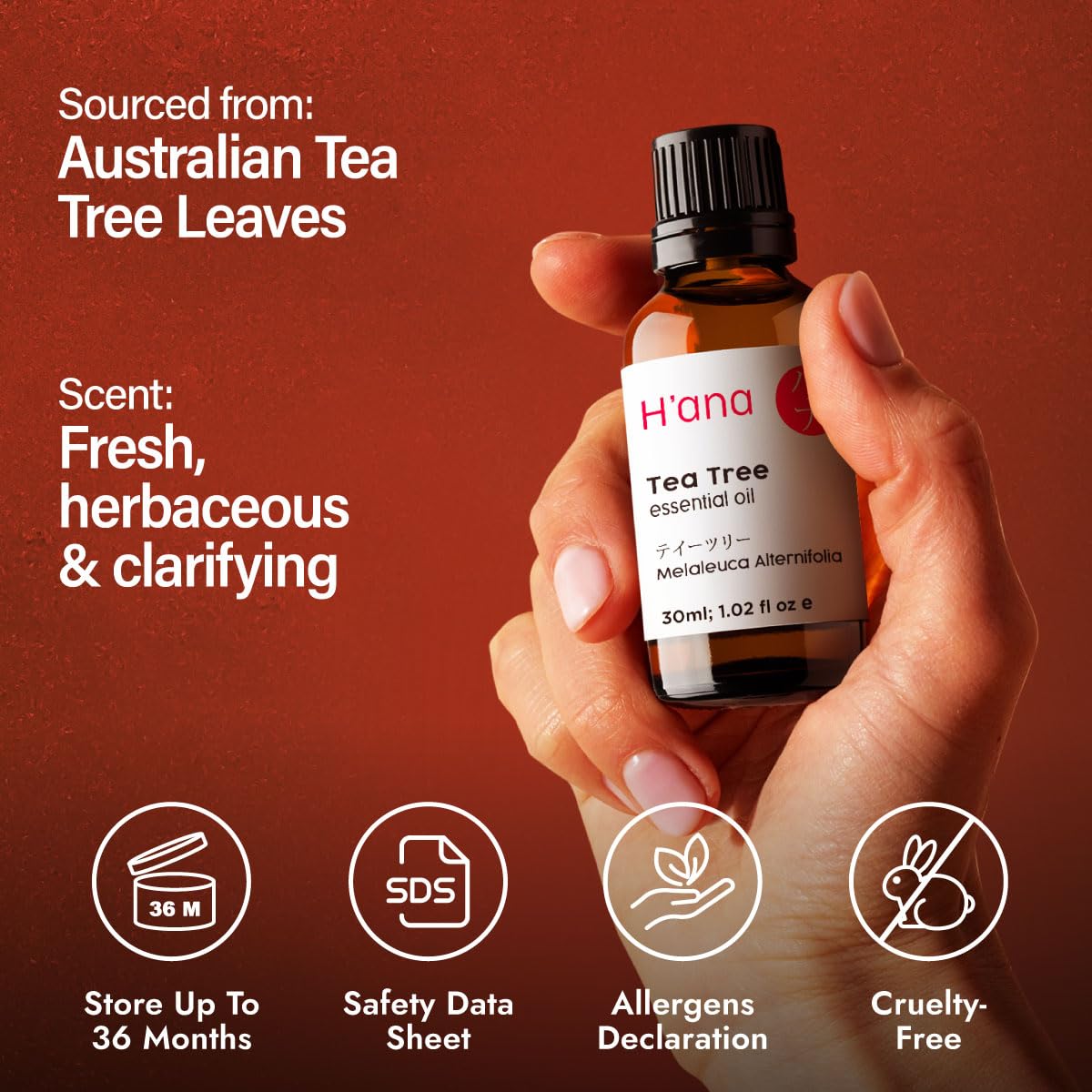 H'ana Tea Tree Essential Oil - 1.02 Fl Oz | Hair, Skin, Diffuser & DIY Crafts