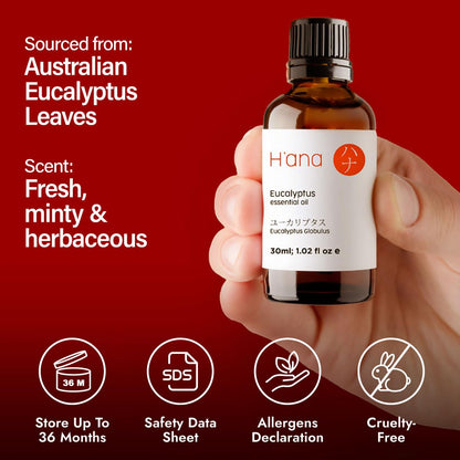 H'ana Eucalyptus Essential Oil - 1.02 Fl Oz for Hair, Skin, Diffuser & DIY