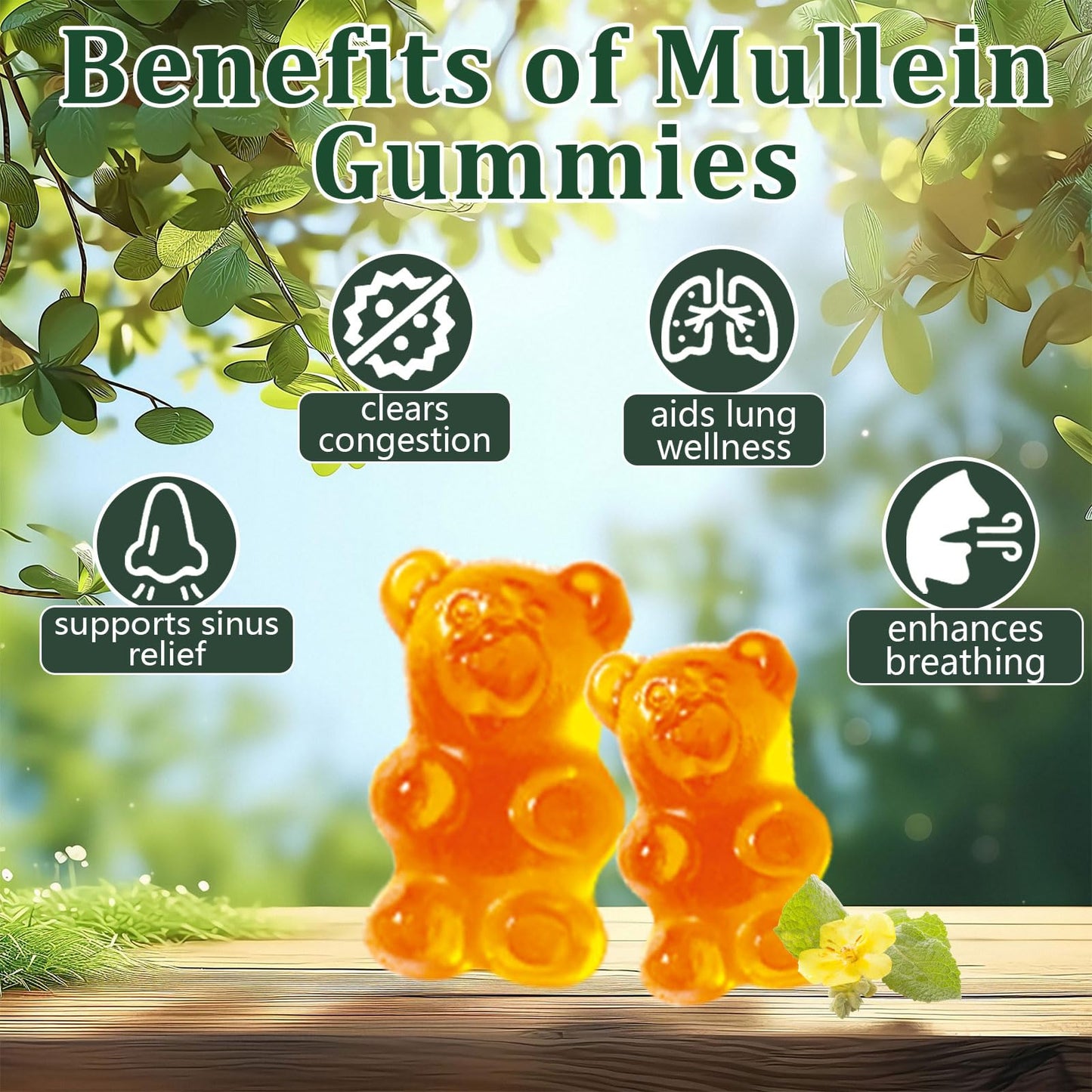 Hanachi Mullein Gummies – Daily Respiratory Health, 1000mg Mullein Leaf, Pear Flavor (30 Day Supply)