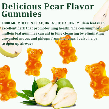 Hanachi Mullein Gummies – Daily Respiratory Health, 1000mg Mullein Leaf, Pear Flavor (30 Day Supply)