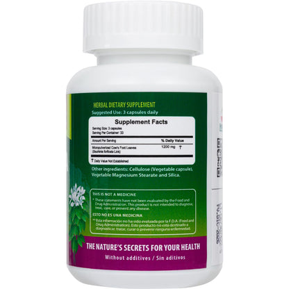 Hanan Pata de Vaca 100 Capsules – Detox & Digestive Health (Bauhinia forficata) – Vegan & Non-GMO | Peru | Pack of 2