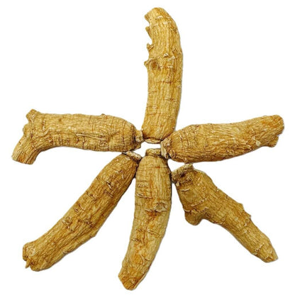Hand Selected A Grade American Ginseng Root - 4 oz Box (Large Short)
