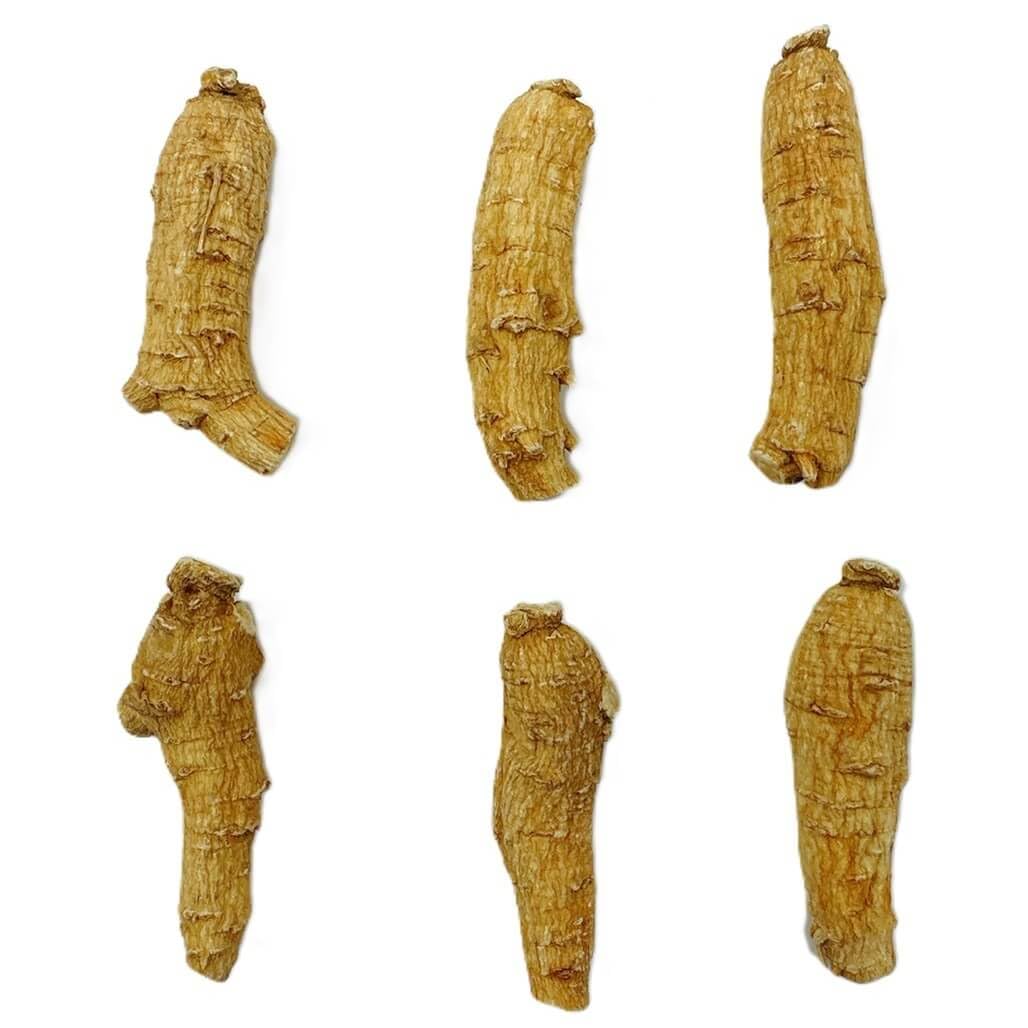 Hand Selected A Grade American Ginseng Root - 4 oz Box (Large Short)
