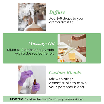Handcraft Blends Basil Essential Oil – 0.33 fl oz Pack of 2 – 100% Pure & Natural Premium Grade for Diffuser, Aromatherapy, Skin, Massage, Candle & Soap Making