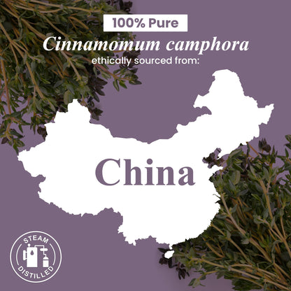 Handcraft Blends Camphor Essential Oil – 4 oz, 100% Pure & Natural
