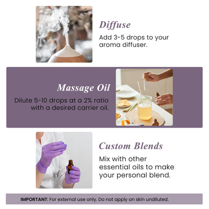 Handcraft Blends Camphor Essential Oil – 4 oz, 100% Pure & Natural