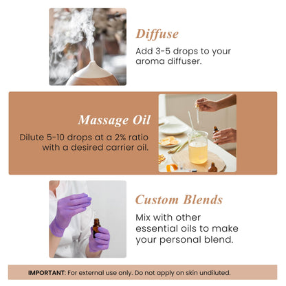 Handcraft Blends Clove Essential Oil – 1 Fl Oz – 100% Pure and Natural – Premium Grade Essential Oil for Diffuser and Aromatherapy, Skin, Massage, Candle and Soap Making Fragrance
