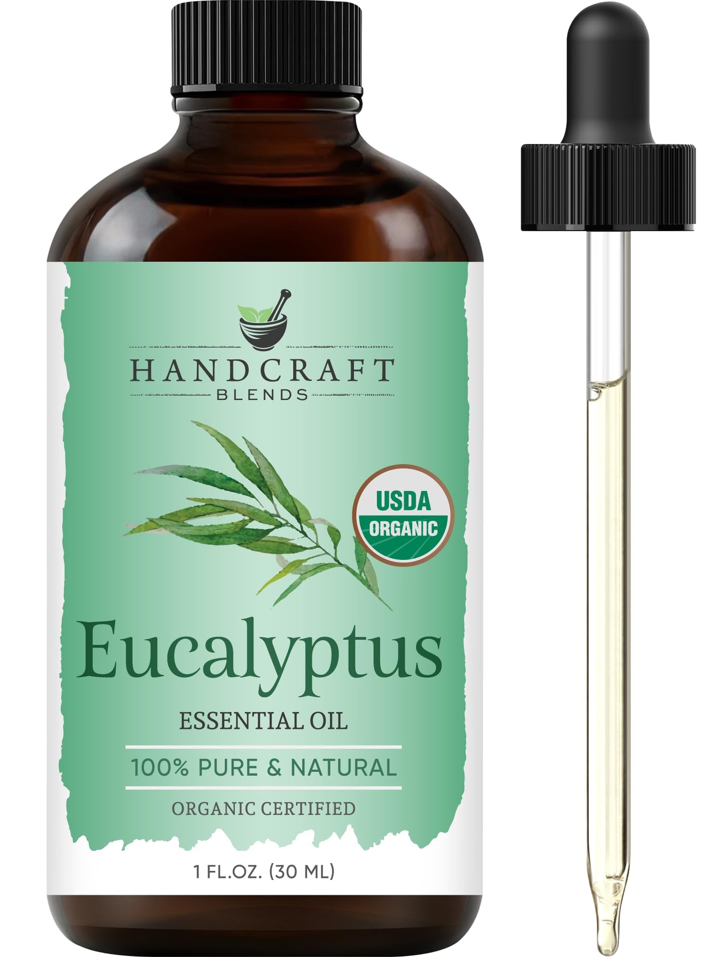 Handcraft Blends Organic Eucalyptus Essential Oil – 1oz | 100% Pure & Natural