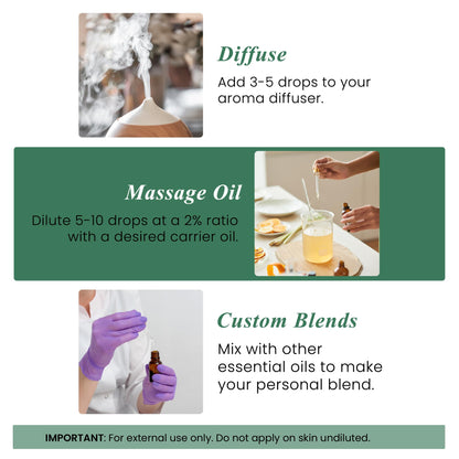 Handcraft Blends Organic Eucalyptus Essential Oil – 1oz | 100% Pure & Natural