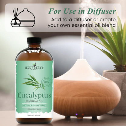 Handcraft Blends Eucalyptus Essential Oil – 16 oz, 100% Pure & Natural