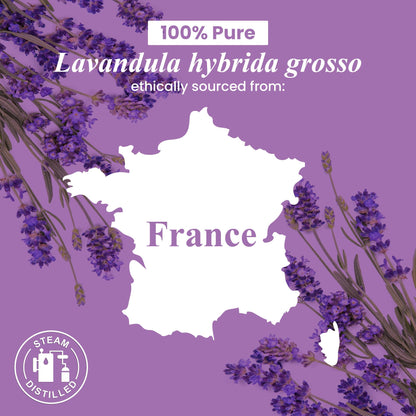 Handcraft Blends Lavender Essential Oil – 16 fl oz | 100% Pure & Natural