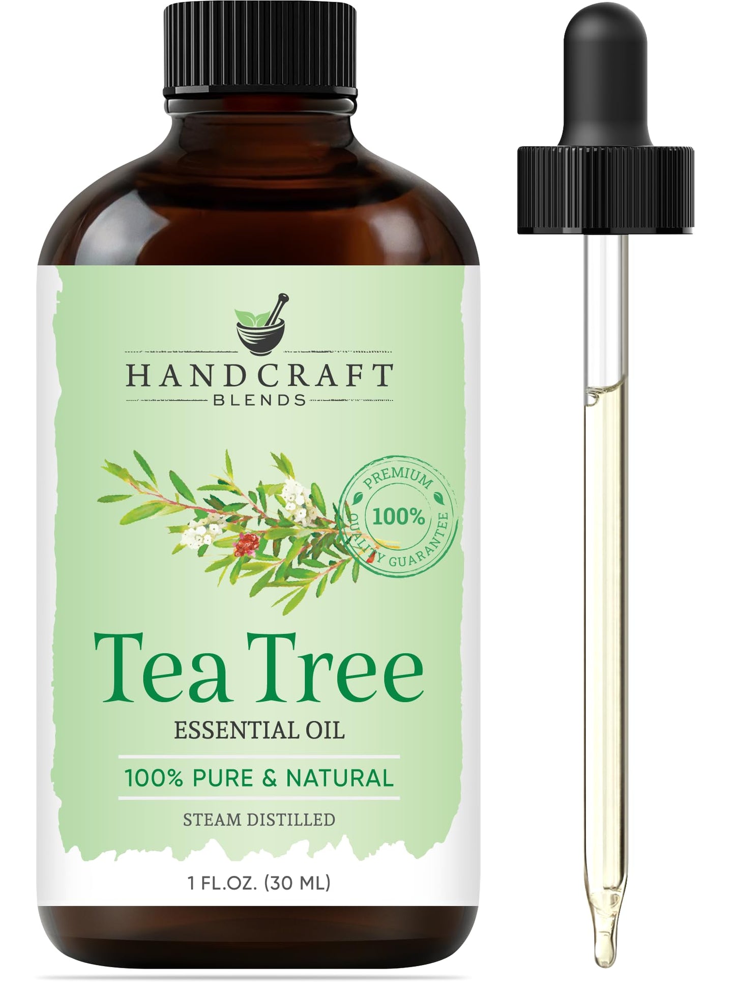 Handcraft Blends Tea Tree Essential Oil – 1 Fl Oz | 100% Pure & Natural