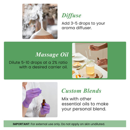 Tea Tree Essential Oil – Handcraft Blends – 4 Fl Oz – 100% Pure