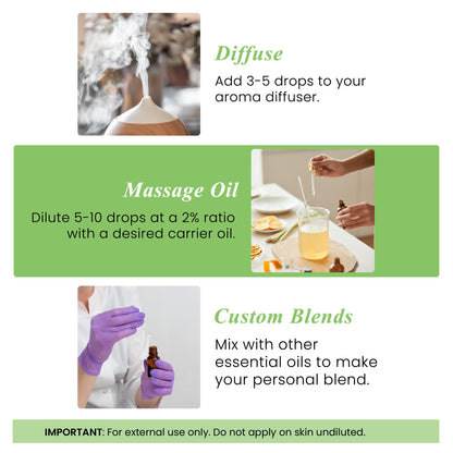 Handcraft Blends Organic Tea Tree Essential Oil - 1 oz | 100% Pure & Natural