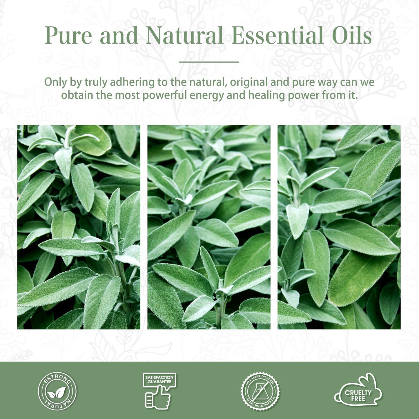 Clary Sage Essential Oil 30ml | PHATOIL Pure Essential Oil for Diffusers, Candles & Soaps