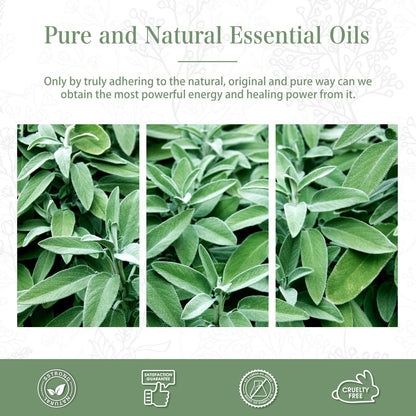 Clary Sage Essential Oil 30ml | PHATOIL Pure Essential Oil for Diffusers, Candles & Soaps