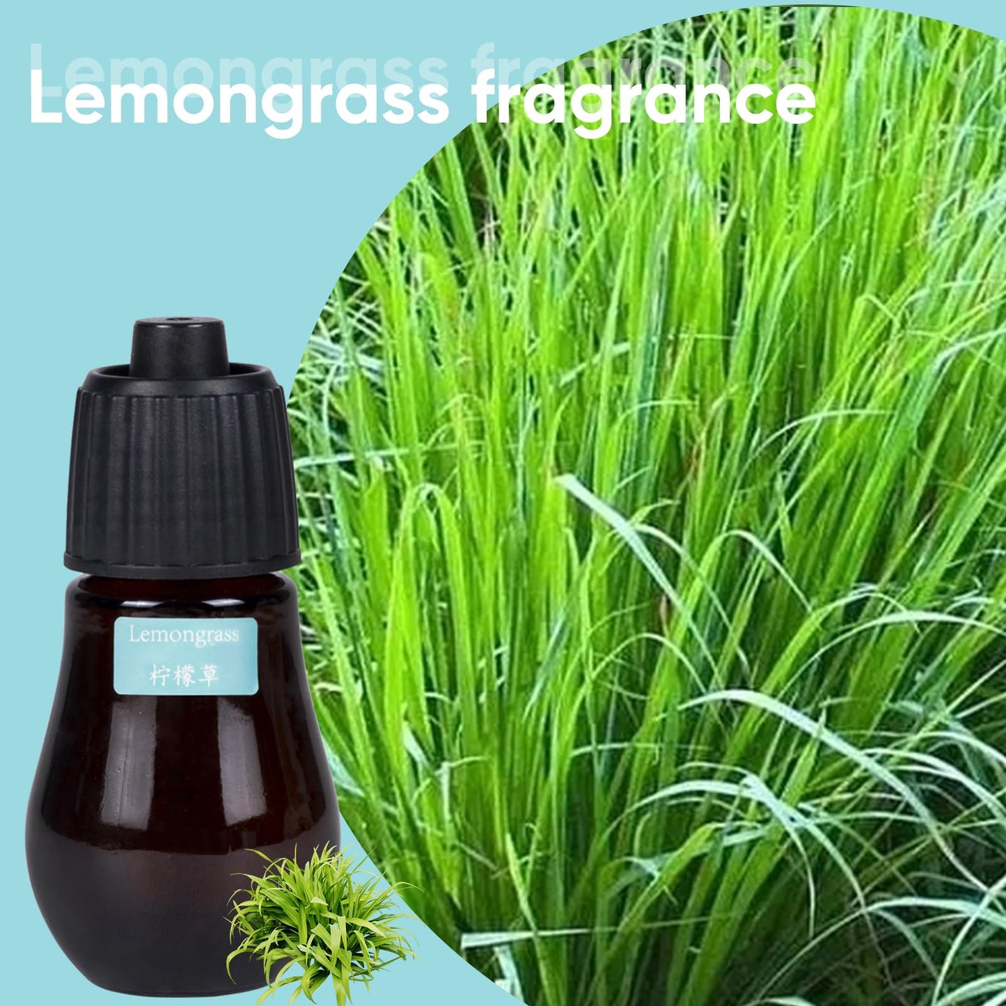 HAPPTWS Aromatherapy Essential Oil Set – 3-Piece Diffuser Oils: Eucalyptus, Lemongrass, Orange