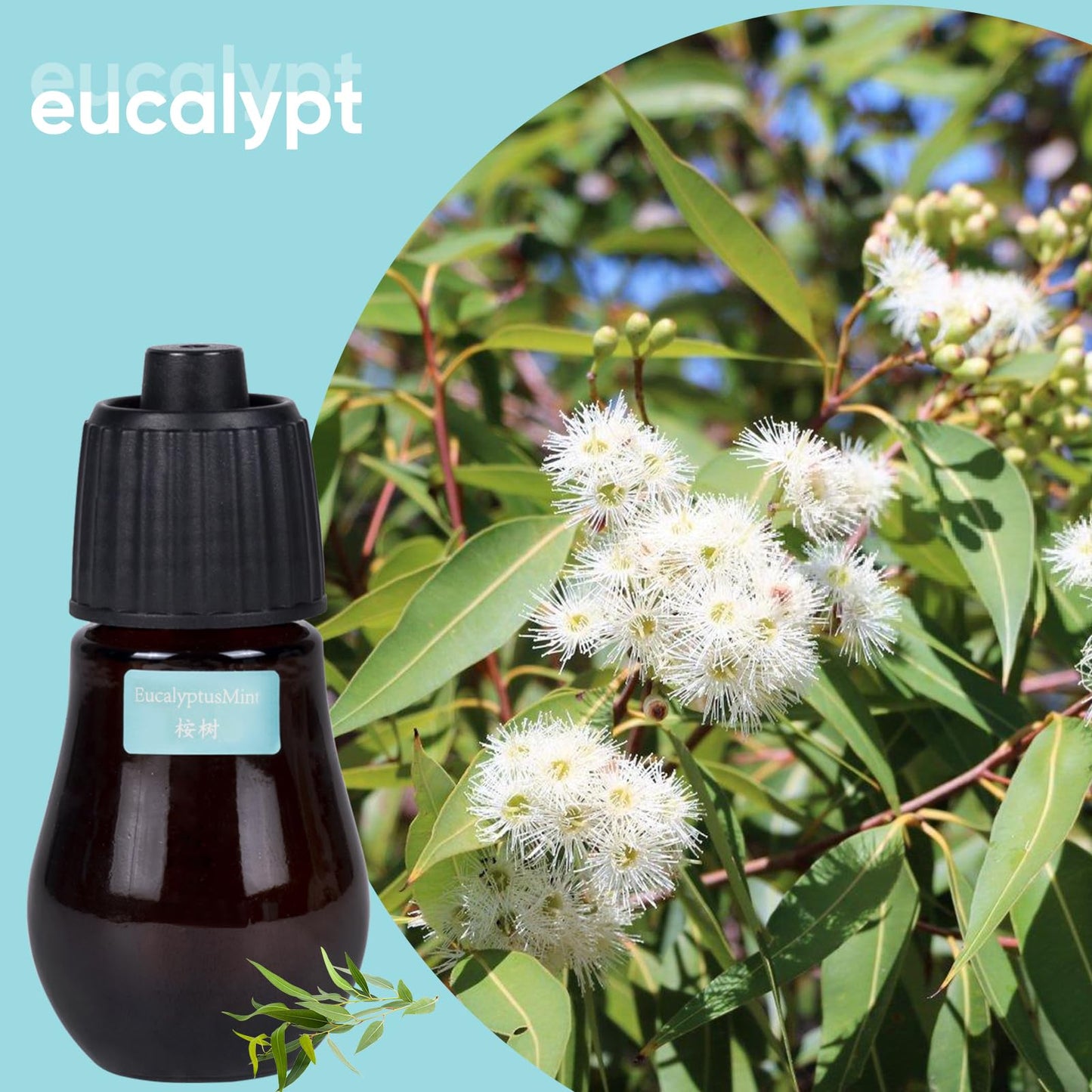HAPPTWS Aromatherapy Essential Oil Set – 3-Piece Diffuser Oils: Eucalyptus, Lemongrass, Orange