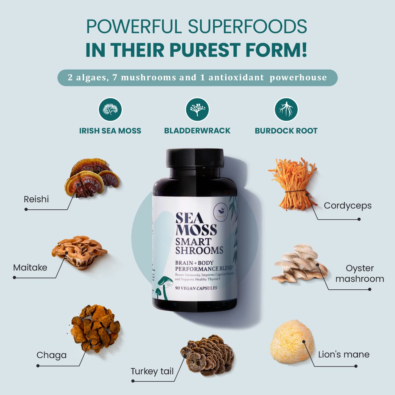 HAPPY FOX Irish Sea Moss Capsules & Mushroom Complex - 1500mg, 90 Vegan Capsules