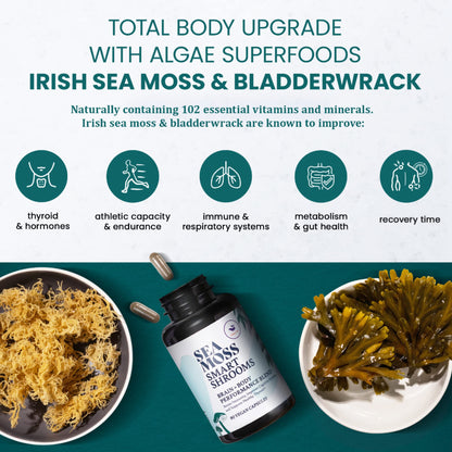 HAPPY FOX Irish Sea Moss Capsules & Mushroom Complex - 1500mg, 90 Vegan Capsules