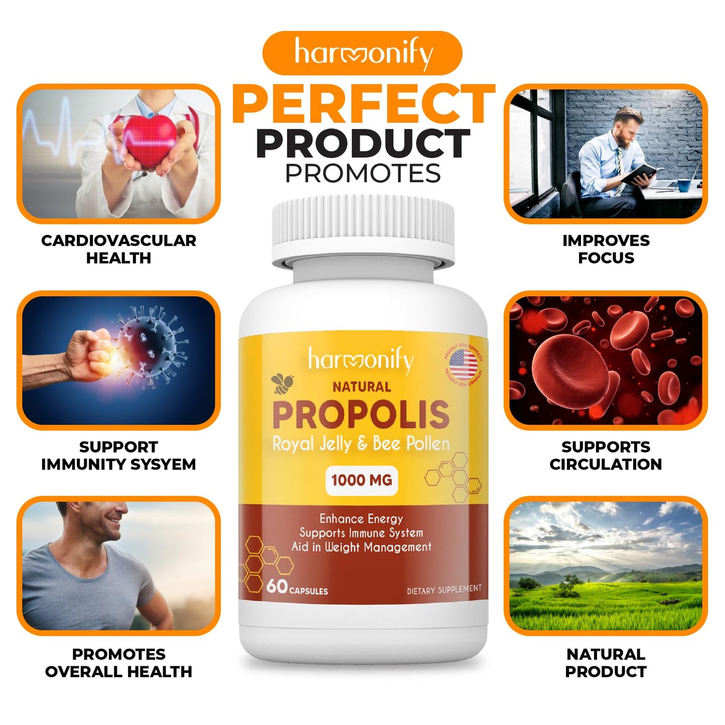 HARMONIFY Bee Pollen Propolis Royal Jelly Extract 1000mg – Immune Support Capsules