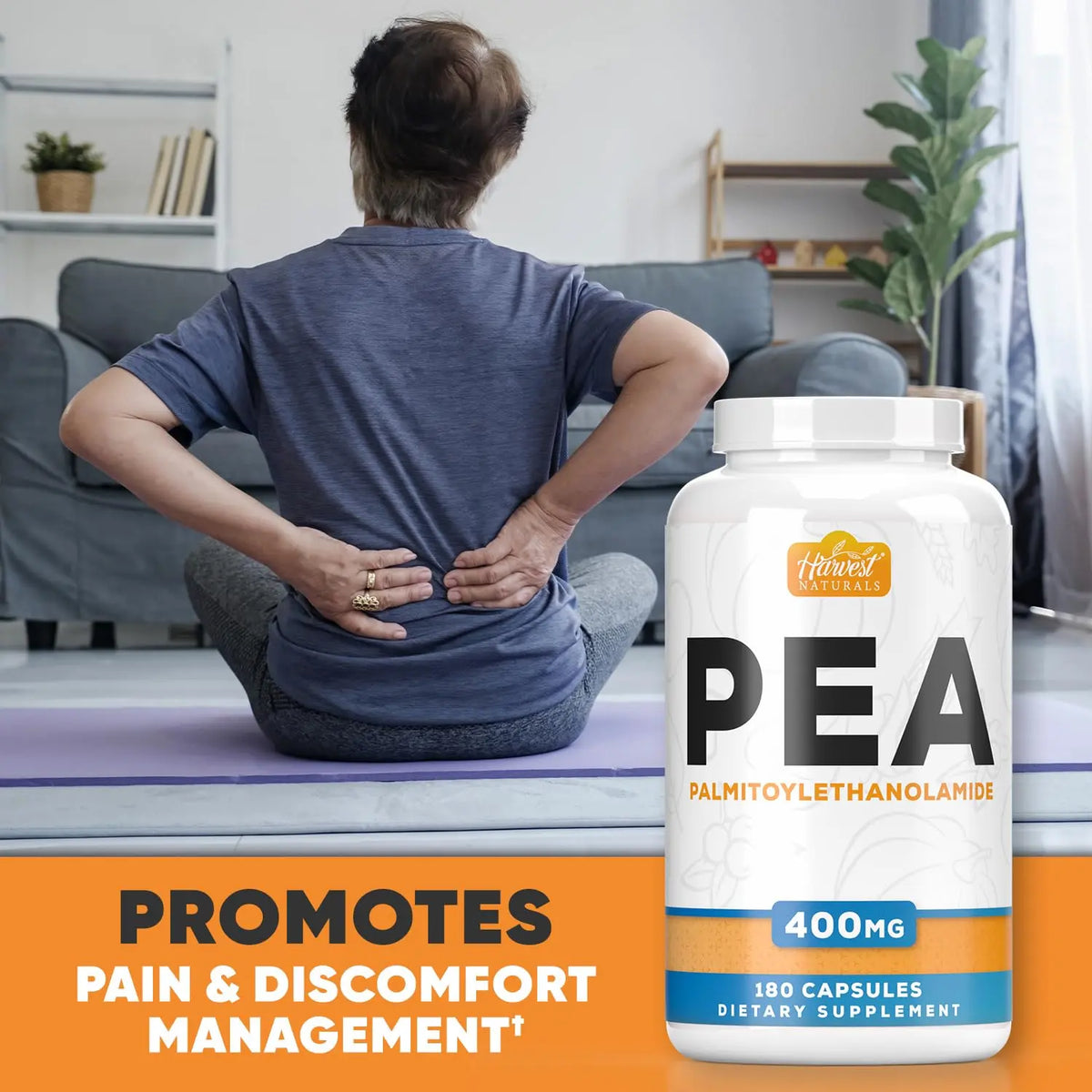 HARVEST NATURALS Palmitoylethanolamide (PEA) Capsules 400mg | 180 Count | Inflammation & Discomfort Support | Lab Tested Ingredients BritishVita | Premium UK Vitamins & Wellness Supplements