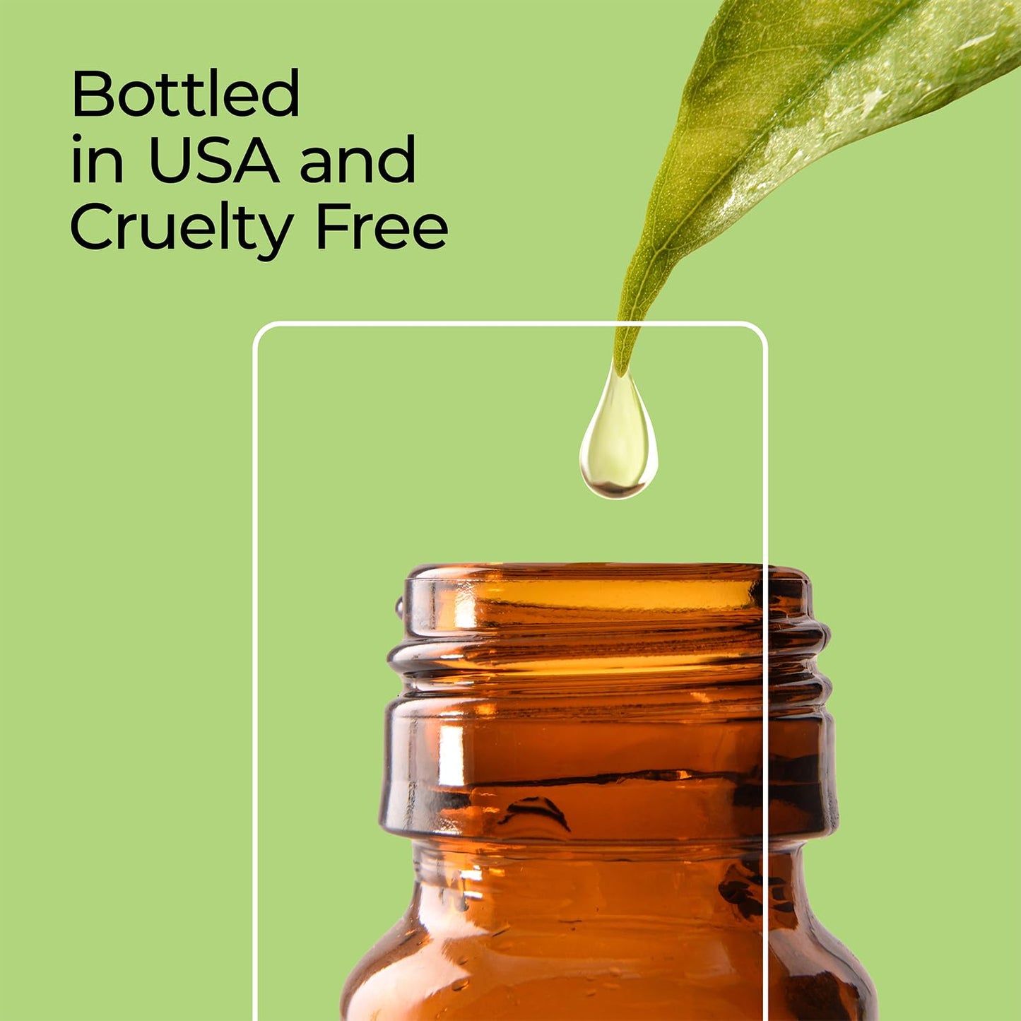Harvest Spice Fragrance Oil 10 ml – Good Essential for Diffuser, Candle & Soap