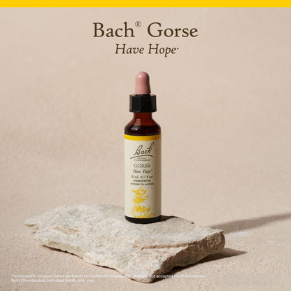Bach Original Flower Remedies: Gorse (Have Hope) – 20mL Dropper